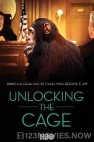 Unlocking the Cage