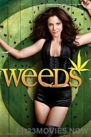 Weeds Season 2 Episode 5