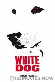 White Dog